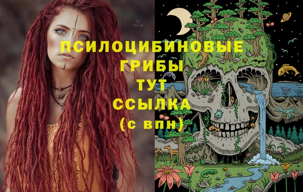сатива Гусиноозёрск