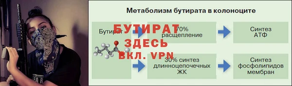 сатива Гусиноозёрск