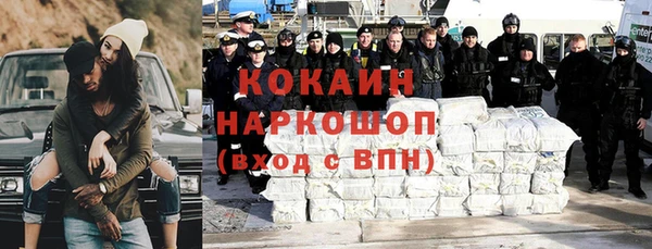сатива Гусиноозёрск