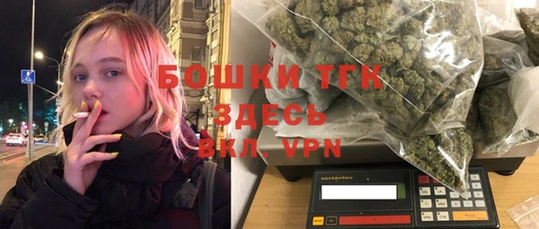 экстази Гусев