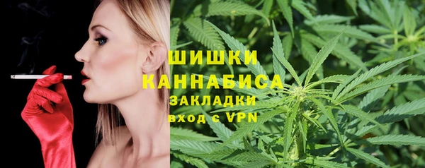 сатива Гусиноозёрск