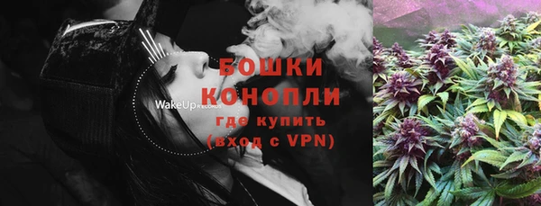 сатива Гусиноозёрск