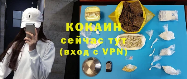 сатива Гусиноозёрск